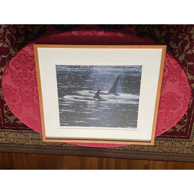 Wood 1990s Art Wolfe Signed Limited Edition 14/250 Photo Orcas Sierra Club Oak Wood Frame For Sale - Image 7 of 8