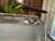 Silver 1970's Farberware Bamboo Stainless Steel Tray. Vintage Barware for Palm Beach Regency, Grandmillennial & Bar Cart Decor - See Pics! For Sale - Image 8 of 10