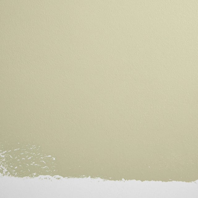 Not Yet Made - Made To Order BACKDROP Standard Finish Interior Paint in Natural Habitat (Light Green with a Hint of Yellow) - 1 Gallon For Sale - Image 5 of 6