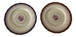 Vintage Johnson Brothers Pareek Floral Design Dinner Plates Set of 2