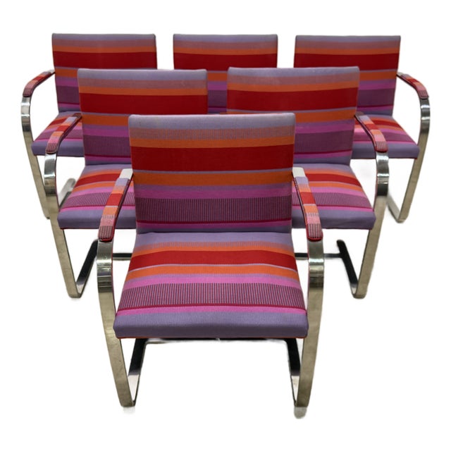 Mies Van Der Rohe Brno Dining Arm Chairs for Treitel Gratz - Set of Six For Sale