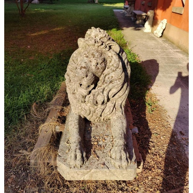 Stone Handcrafted and Sculpted Ofllions in Vicenza Stone, 19th Century, Set of 2 For Sale - Image 7 of 12