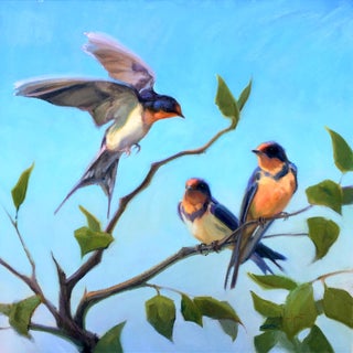 Swallow Tree by Lani Vlaanderen | Oil Painting of three swallows on a tree branch For Sale