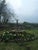 Life-Size Cast Iron Stag Garden Sculpture with Antlers For Sale - Image 4 of 7