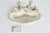 20th Century Porcelain Inkwell by Emile Gallé For Sale - Image 5 of 11