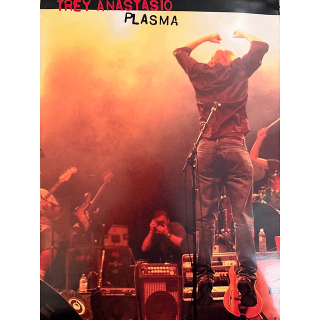 2000 - 2009 Trey Anastasio - Plasma, 2003, Offset Lithograph Promotional Poster on Paper For Sale - Image 5 of 5
