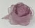 Daum France "Rose Passion" Pâte de Verre Crystal Rose Paperweight Sculpture, Signed A beautiful Daum France "Rose Passion"...