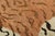 Rug & Kilim's Classic Rug in Brown & Black With Tiger Pictorial Design For Sale In New York - Image 6 of 7