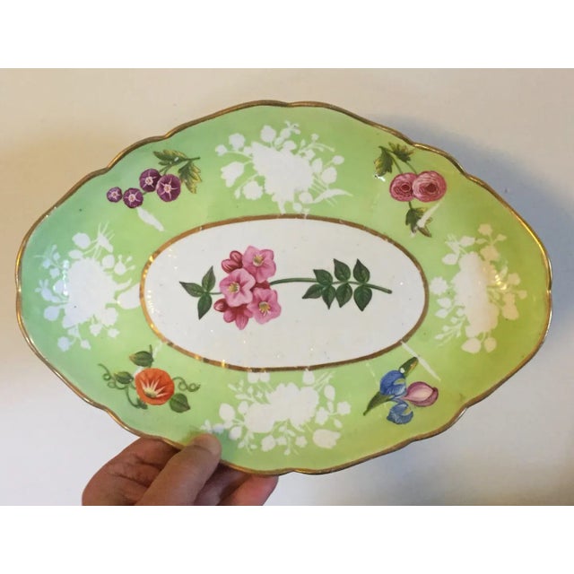 Traditional Antique Early 19th Century English Regency Coalport Porcelain Botanical Oval Dessert Dish For Sale - Image 3 of 9