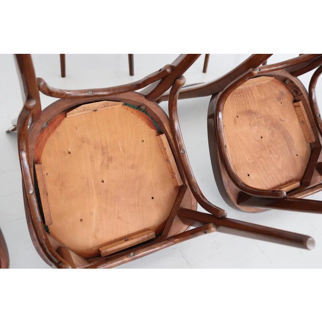 Midcentury Modern Italian Dining Chairs, 1950s, Set of 6 For Sale - Image 13 of 18