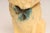 Vintage Painted Chalkware Carnival Chalk Collie Dog Sculpture / Figurine For Sale - Image 12 of 18