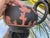 Wedgwood Black Basalt and Terracotta Teapot, 1988 For Sale - Image 10 of 18