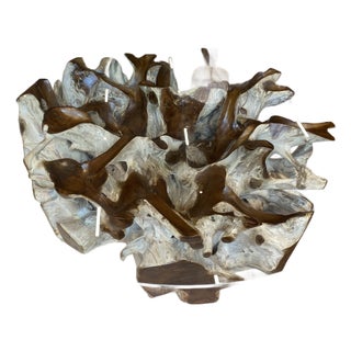 Teak Root Ball Base Glass Top Coffee Table Lg For Sale