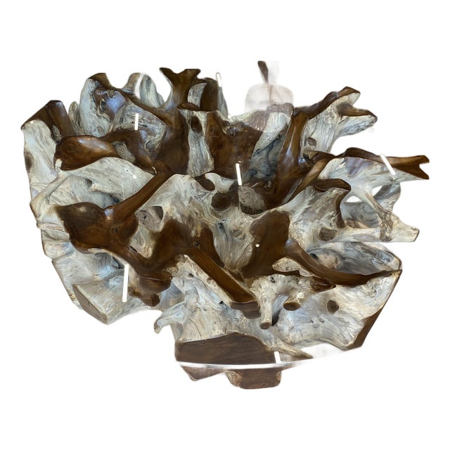 Teak Root Ball Base Glass Top Coffee Table Lg For Sale