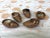 Ceramic Ceramic Seashell Tea Light Candle Holder - Set of 5 For Sale - Image 7 of 13