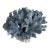 Natural Blue Coral Specimen For Sale