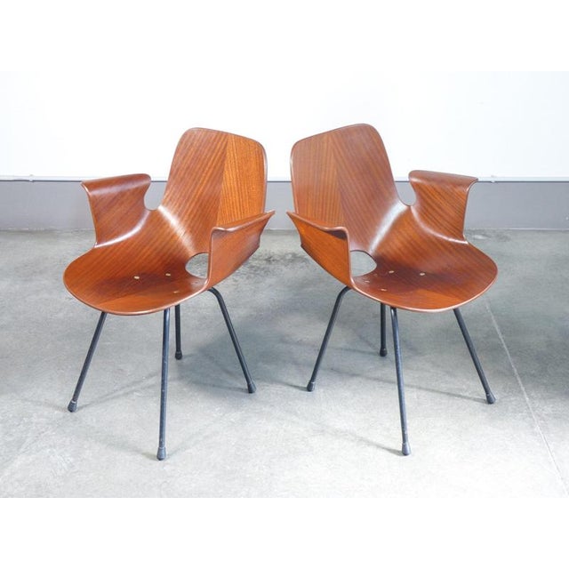 Medea Chairs by V. Nobili for Tagliabue, Set of 2 For Sale - Image 11 of 18