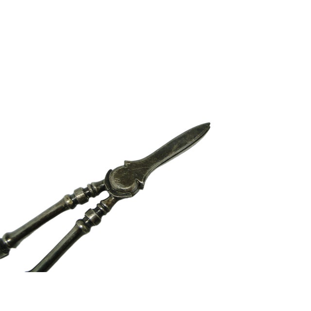 Art Nouveau Danish Scissors for Grapes, 1920s For Sale - Image 3 of 15