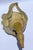 1950s Abstract Italian Ceramic Pottery Wood Bird Sculpture Mixed Media Handmade For Sale - Image 13 of 17