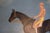 Traditional Salmon Pink Silks Jockey Astride Racehorse For Sale - Image 3 of 4