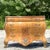 Vintage Regency Burlwood and Ormolu Commode For Sale - Image 9 of 11