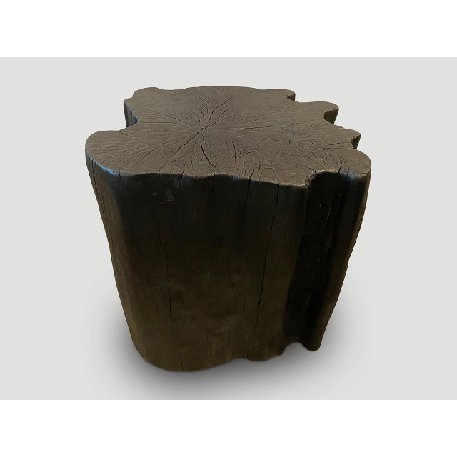 Andrianna Shamaris Amorphous Charred Side Table For Sale - Image 10 of 18