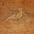 18th Century Neoclassical Walnut Table with Inlays, Italy For Sale - Image 9 of 11