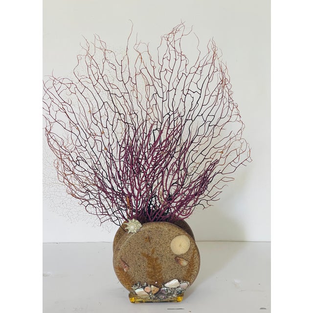 Coastal marine arrangement of three sea whip fans in a lucite stand.