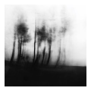 Blurred Landscape No. 3 - Original Black and White Photography | Unframed For Sale