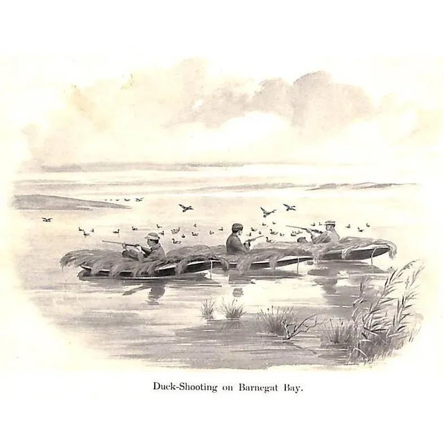 1900 - 1909 Rob and His Gun For Sale - Image 5 of 11