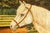 Victorian Charming Antique 19th Century Equestrian Oil Painting White Horse Portrait Folk Art Equestrian English Country Home Decor For Sale - Image 3 of 14