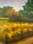 This landscape oil painting on wood panel was painted en plein aire (in the open air, onsite) at Historic Tuckahoe in...