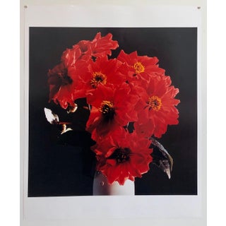 Peter C. Jones 1, Great Dahlias, Large Format Flowers Photo 24X20 Color Photograph Beach House, 2004 For Sale