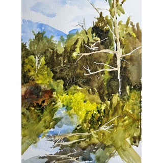 Lair of the Bear, Clear Creek by Timothy J. Standring | Watercolor on paper Landscape with trees and water For Sale