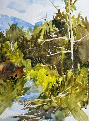 Lair of the Bear, Clear Creek by Timothy J. Standring | Watercolor on paper Landscape with trees and water