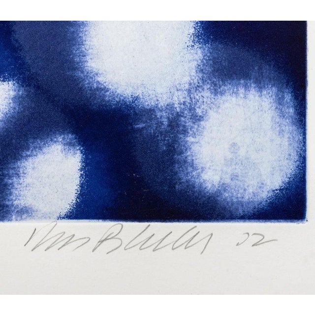 Ross Bleckner Ross Bleckner "Chaperone" Etching and Aquatint For Sale - Image 4 of 8