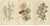 Michaelmas Daisies and China Asters and New England Asters, 1897, Paper, Set of 3 For Sale - Image 6 of 6