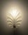 Vintage Shell-Shaped Wall Lamp in Frosted Glass, 1970s, in Very Good conditions. Designed 1970 to 1979 European Plug (up...