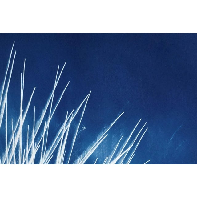 Handmade Cyanotype Print of Abstract Nighttime Fireworks Flaring For Sale - Image 4 of 12