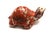 Figurative Miniature Red and White Turtle - Hand Carved From Natural Brecciated Jasper For Sale - Image 3 of 6