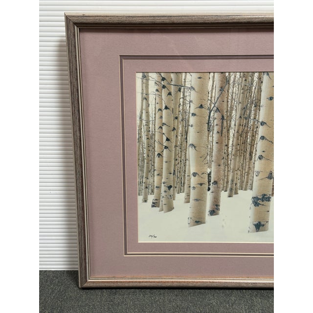 Contemporary Circa 1997 Aaron Goldenberg Framed "Winter Aspens" Art Photograph, Signed + Limited Edition 266 of 900 For Sale - Image 3 of 12