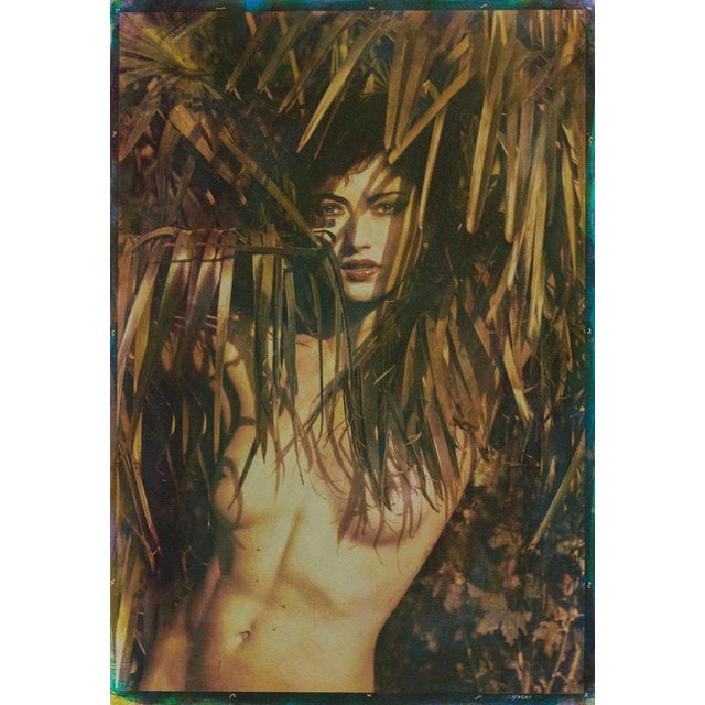 Early 21st Century Ian Sanderson, Wild, 2011, Photographic Print For Sale - Image 5 of 6