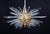 Miracle Chandelier attributed to Bakalowits & Söhne, Austria, 1960s For Sale - Image 16 of 18
