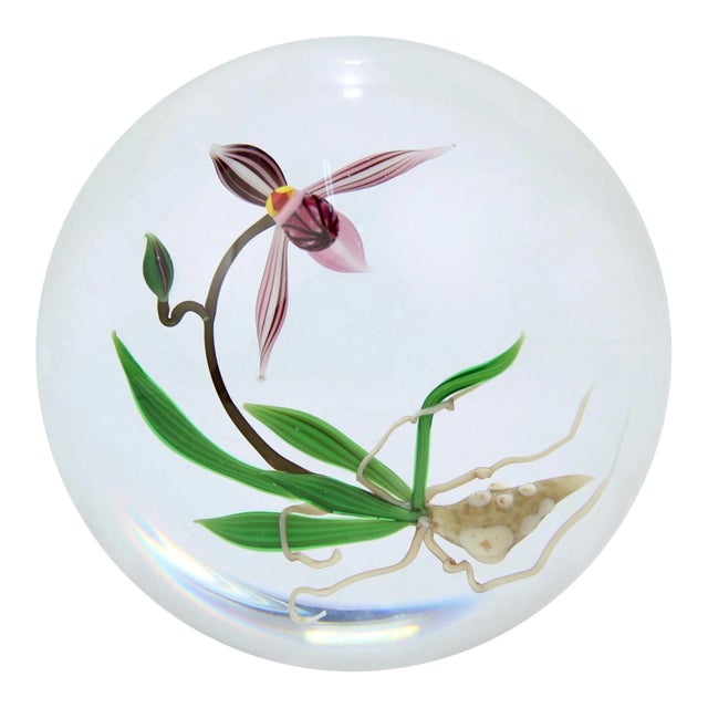 Chris Buzzini Artist-Proof Orchid Flower and Roots Art Glass Paperweight For Sale