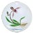 Chris Buzzini Artist-Proof Orchid Flower and Roots Art Glass Paperweight For Sale