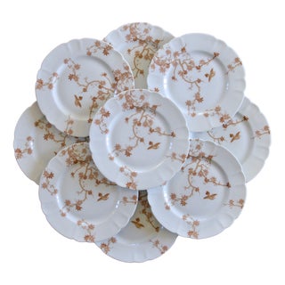 Vintage Limoges Porcelain Dinner Plates with Bird Decoration from Haviland, 1930s, Set of 9 For Sale
