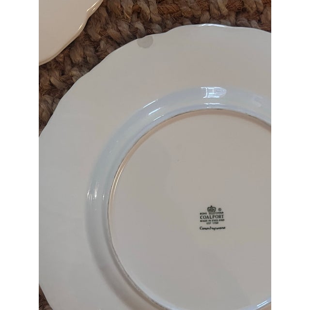 1950s 1950s Coleport & Wedgwood Countryware Dinner Plates For Sale - Image 5 of 6