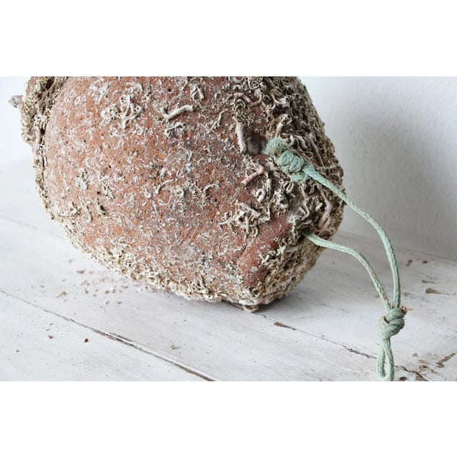 19th Century Terracotta Octopus Trap Vase For Sale - Image 11 of 12