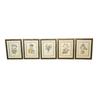 Lussier Lajoie Framing Botanical Prints, Set of Five For Sale