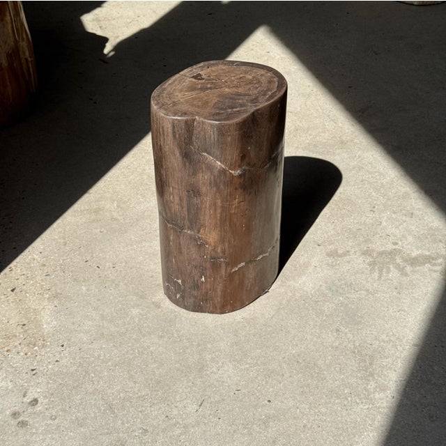 Side Table in Brown Petrified Wood, 1980s For Sale - Image 11 of 18